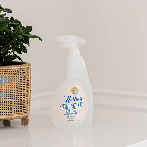 All Purpose Multi-Surface Spray Cleaner