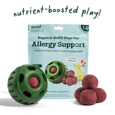 Allergy & Immunity Wellness Pops - image 2