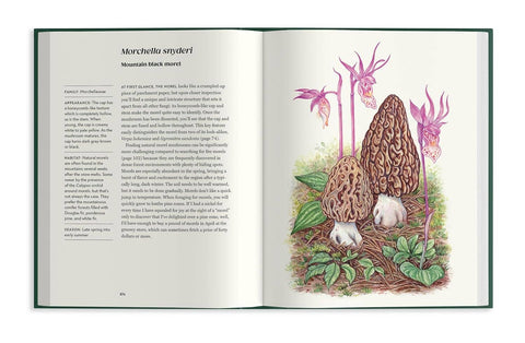 Pacific Northwest Mushroom Foraging Book