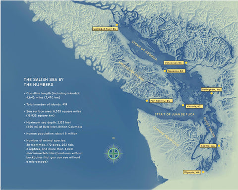 Explore the Salish Sea: A Nature Guide for Kids
