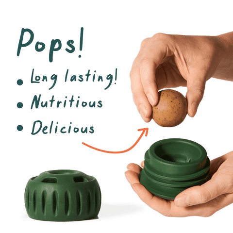 Pupsicle Pops - image 3