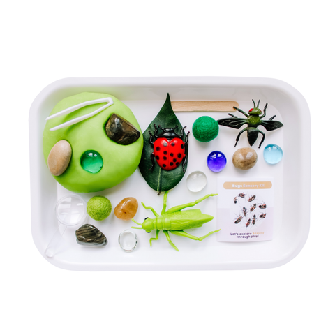 Children's Bugs Play Dough Sensory Kit - image 2