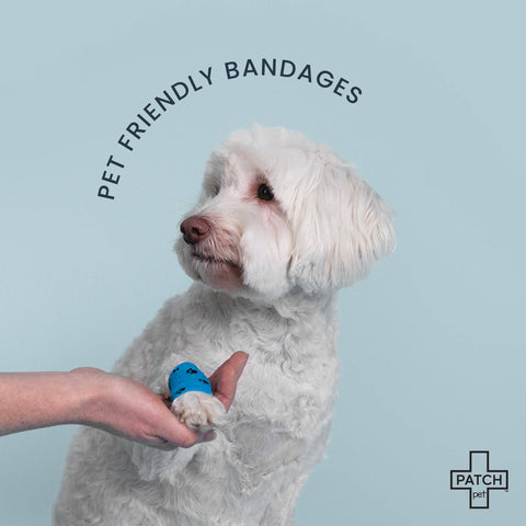 Patch Pet Travel Bandage Kit