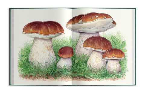 Pacific Northwest Mushroom Foraging Book