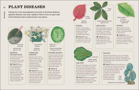 How Not to Kill Your Houseplant