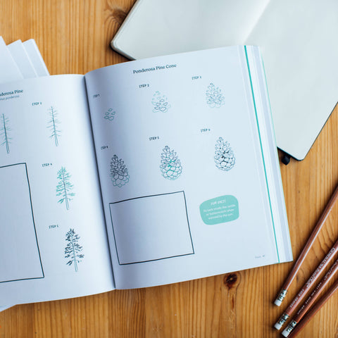 Pacific Northwest How to Draw Book (Trees, Flowers and More) - image 2